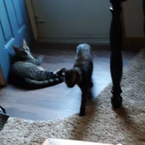 Meet your Posher, Christina